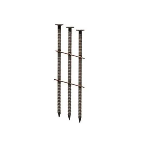 Electro-Galvanized Ring Shank Wire Coil Siding Nails