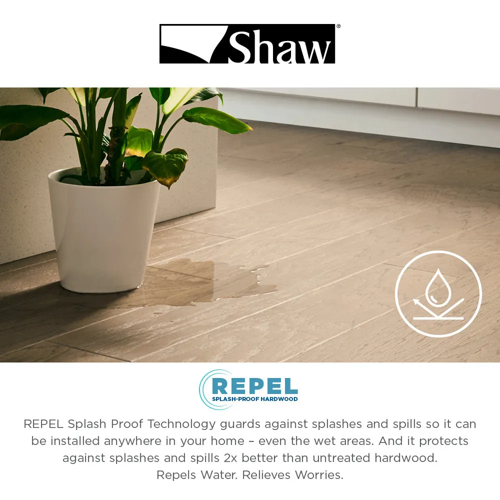 Shaw Gallant Hickory Galahad Hickory 3/8-in T x 5-in W Water Resistant Handscraped Engineered Hardwood Flooring ( 23.66-sq ft / Carton ), photo 7 of 8