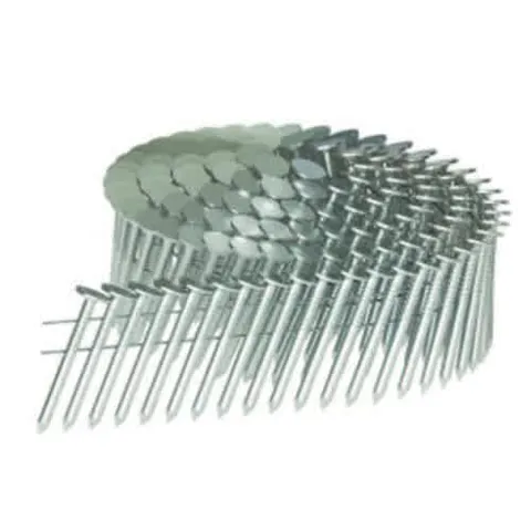 Electro-Galvanized Roofing Nails, 2 in., 5 lb Box, Mill Finish