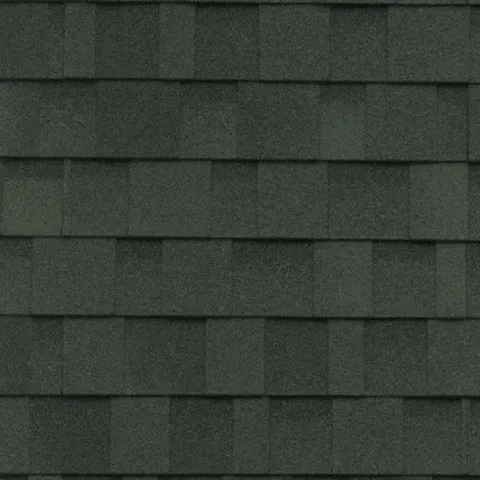 Dynasty Laminated Asphalt Shingle