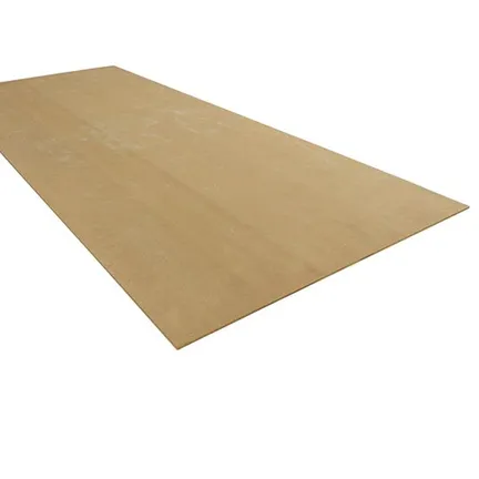 5/16" 4 × 10 ft Hardie Panel Smooth Vertical Siding for HardieZone 10 Primed
