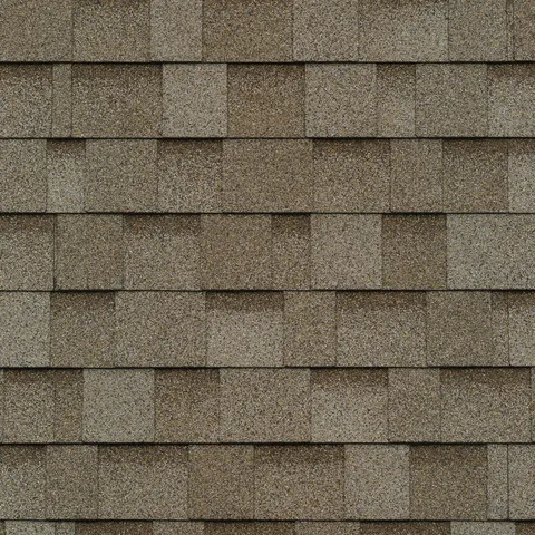 Cambridge Shingles