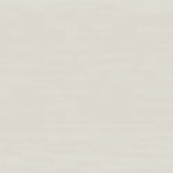 Sanded Edge Rustic Grain Trim HZ10 Arctic White 4/4 in × 3-1/2 in × 12 ft