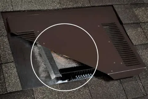 O'Hagin Fire&Ice Low Profile Tapered Composition Shingle Vent, photo 3 of 3
