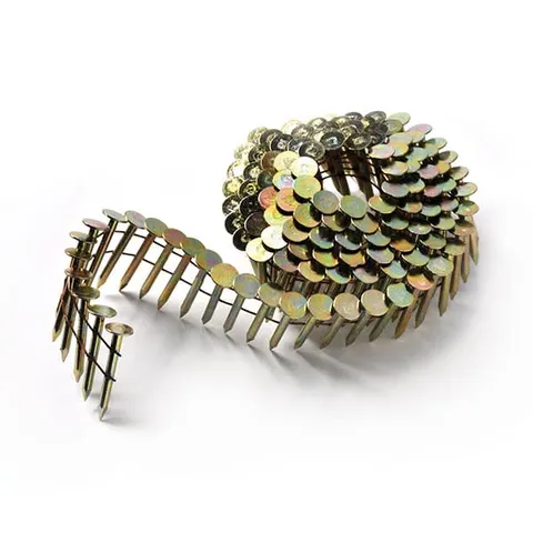 Ring Shank Coil Nails Box
