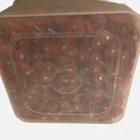EG RS Plastic Cap Nails 1" 2000/Box