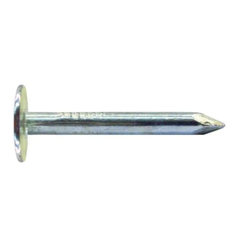TopShield Electro-Galvanized Roofing Nails, photo 3 of 3