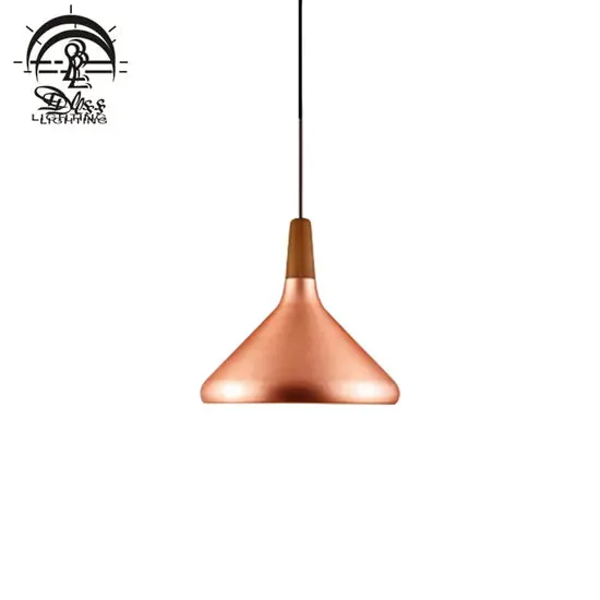 DLSS Lighting Simple Style Decorative Design for Coffee Chandelier Lamp with E27 Pendant Light, photo 4 of 6