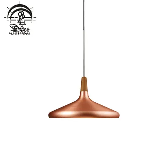 DLSS Lighting Simple Style Decorative Design for Coffee Chandelier Lamp with E27 Pendant Light, photo 3 of 6
