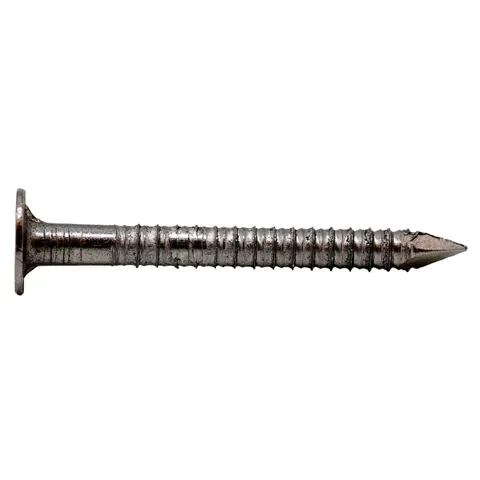 Hot-Dip Galvanized Ring Shank Roofing Nails 2-1/2 in., 50 lb Box