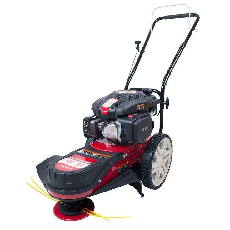 Southland 22 in. 150cc Walk Behind OHV Gas String Trimmer Mower, photo 2 of 11