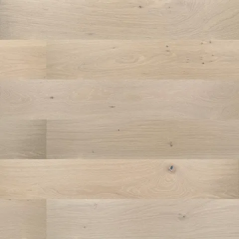 Amadeus Oak