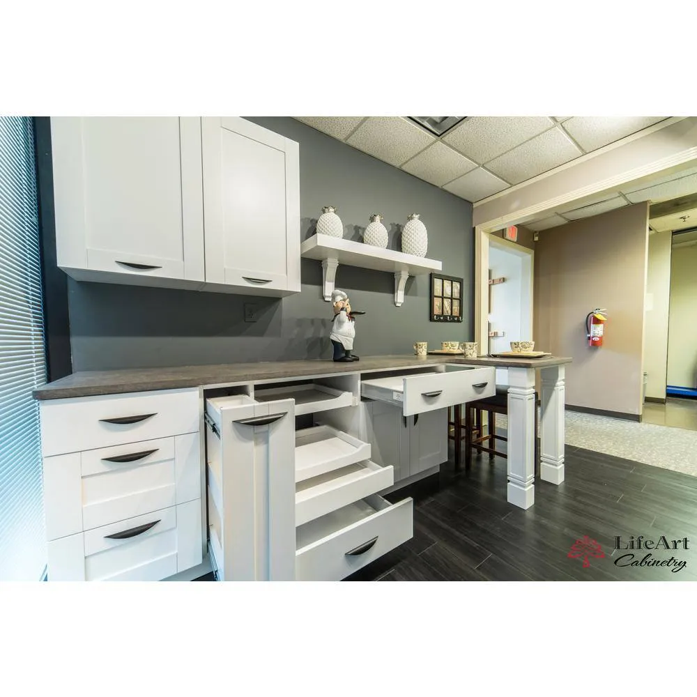 LIFEART CABINETRY Anchester Assembled 24 in. x 30 in. x 12 in. Wall Mullion Door Cabinet with 2-Doors 2-Shelves in White, photo 9 of 11