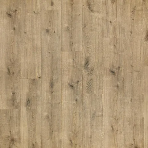 Anderson Oak