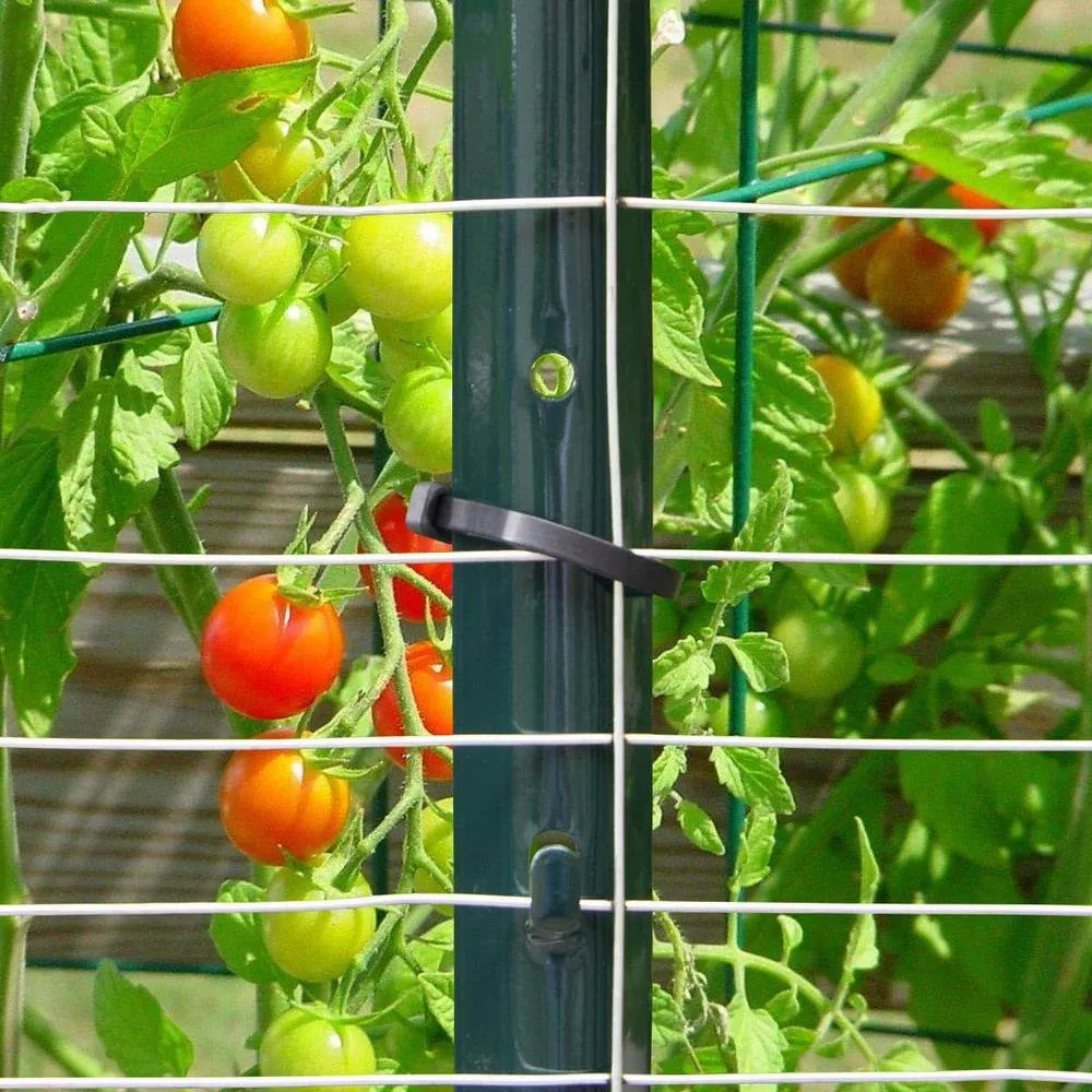 Angel Sar 60 in. x 1.2 in. x 1.2 in. Metal Fence Post U Post Green for Garden Wire Fence Steel Garden Post Sign Post (5-Pack), photo 5 of 7