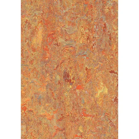 Asian Tiger/Plank