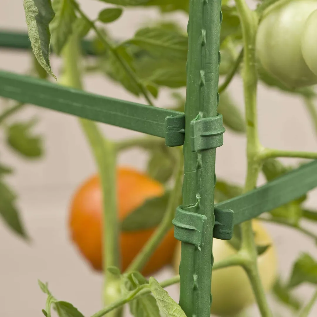 Gardener's Blue Ribbon 60 in. H X 12 in. W Green Steel Tomato Cage, photo 3 of 5