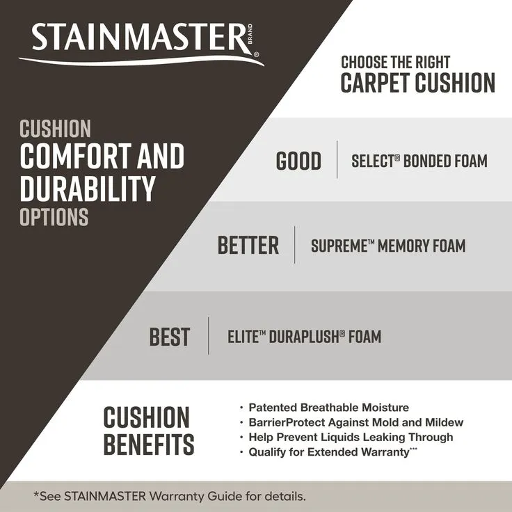 STAINMASTER Essentials Blue Diamonds III 15-ft Greige Textured Carpet (Indoor), photo 6 of 8