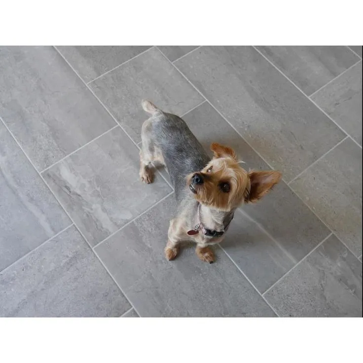 Style Selections Skyros Gray 12-in x 24-in Glazed Porcelain Floor and Wall Tile, photo 6 of 8