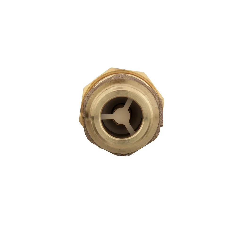 Zurn-Wilkins 1 in. Union FMTC Inlet x 1 in. MMTC Outlet Lead-Free Bronze Dual Check Valve, photo 3 of 6