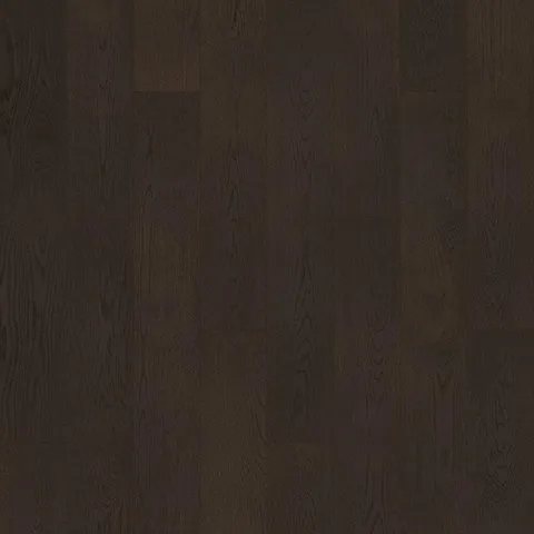 Black Raven Oak