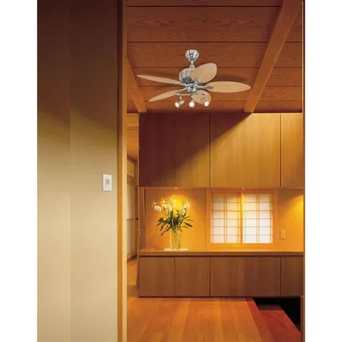 Ceiling Fan and Light Wall Switch