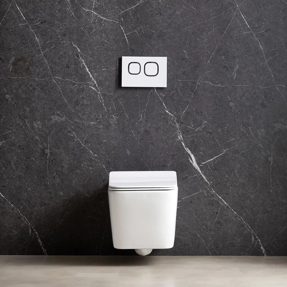 Simple Project Wall-Hung 1-Piece 1.6 GPF/0.8 GPF High Efficiency Dual Flush Round Bowl Toilet in White Skirted All-in-One Seat Included, photo 5 of 9