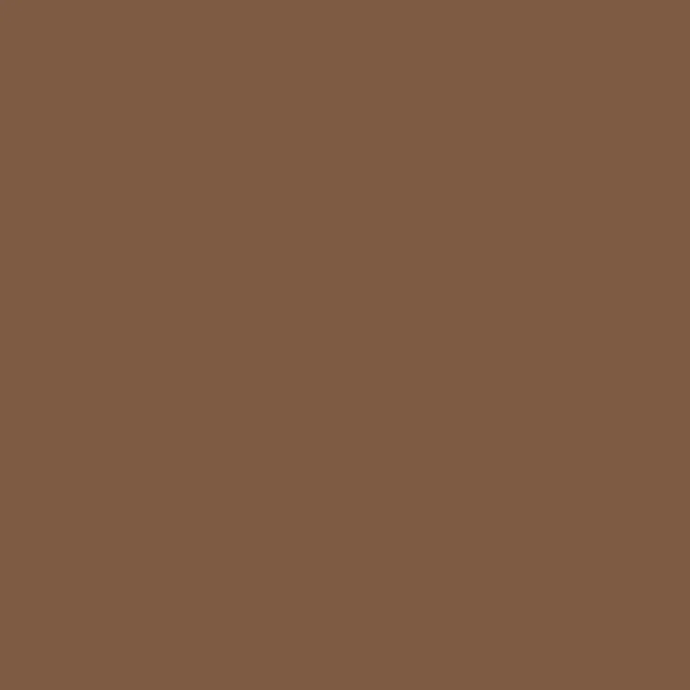 BEHR 5 gal. #SC-110 Chestnut Solid Color House and Fence Exterior Wood Stain, photo 11 of 12