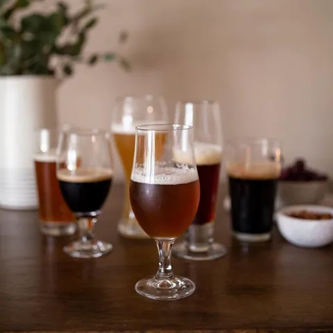 Craft Brews Assorted Beer Glass Set (6-Pack)