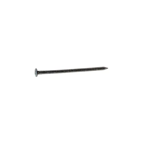8D Hot-Dipped Galvanized Box Nails (30 lb)