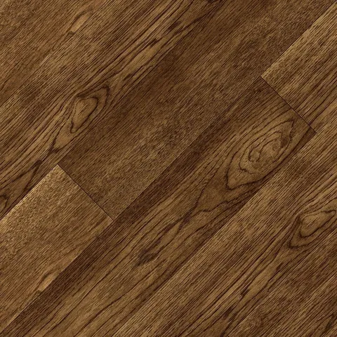 Carolina