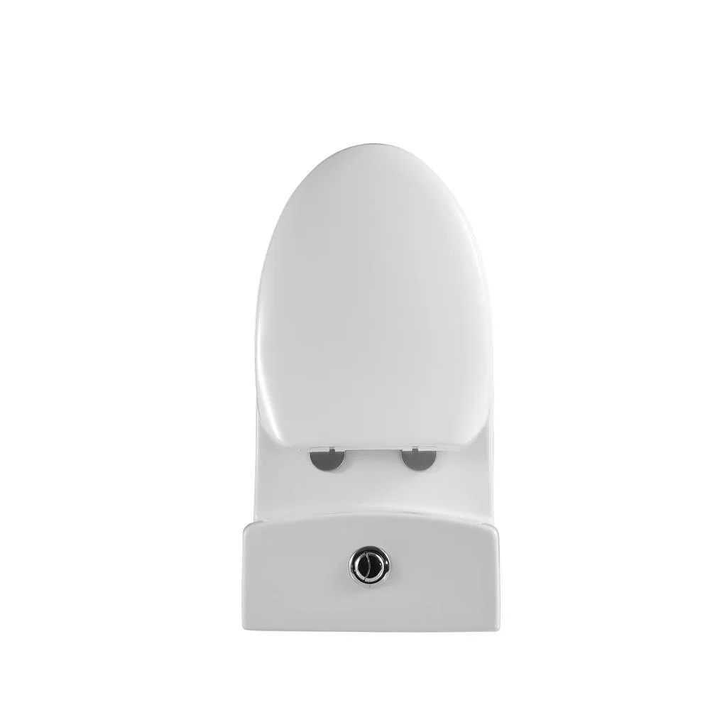 Dual Flush 1-piece 1.28/1.6 GPF Elongated One Piece Toilet with Soft Closing Seat, photo 6 of 9