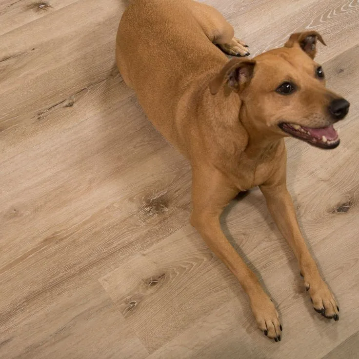 CALI Vinyl Pro Classic 10-Piece 7.12-in x 48-in Aged Hickory Luxury Vinyl Plank Flooring, photo 3 of 8
