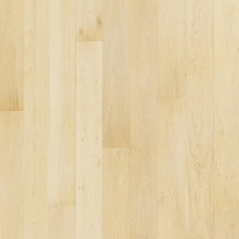 Conch Oak