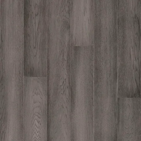 Cool Gray