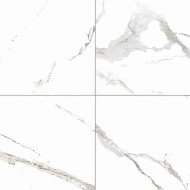 MSI Eden Statuary 24 in. x 24 in. Matte Porcelain Floor and Wall Tile (5 cases / 128 sq. ft. / pallet), photo 2 of 4