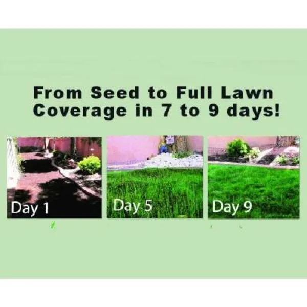 WONDER SOIL 3 Gal. Premium Expanding Coco Coir Living Soil with Added Nutrients for Indoor and Outdoor Use, photo 3 of 3