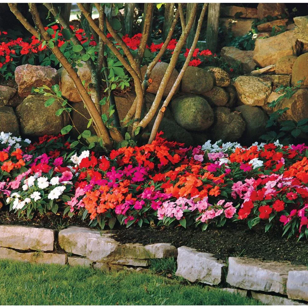 Pure Beauty Farms Grower's Choice Garden Potting Soil Sunpatien New Guinea Impatien 1.25 cu. ft. Flowering Mix, photo 2 of 3
