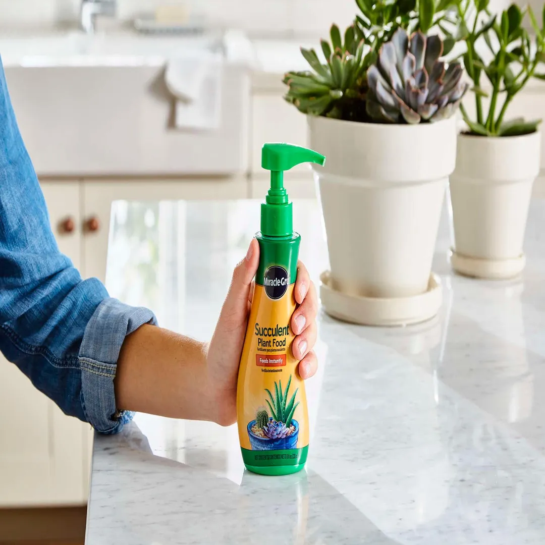 Miracle-Gro Succulent Liquid Cacti, Jade and Aloe Plant Food 8 oz, photo 4 of 7