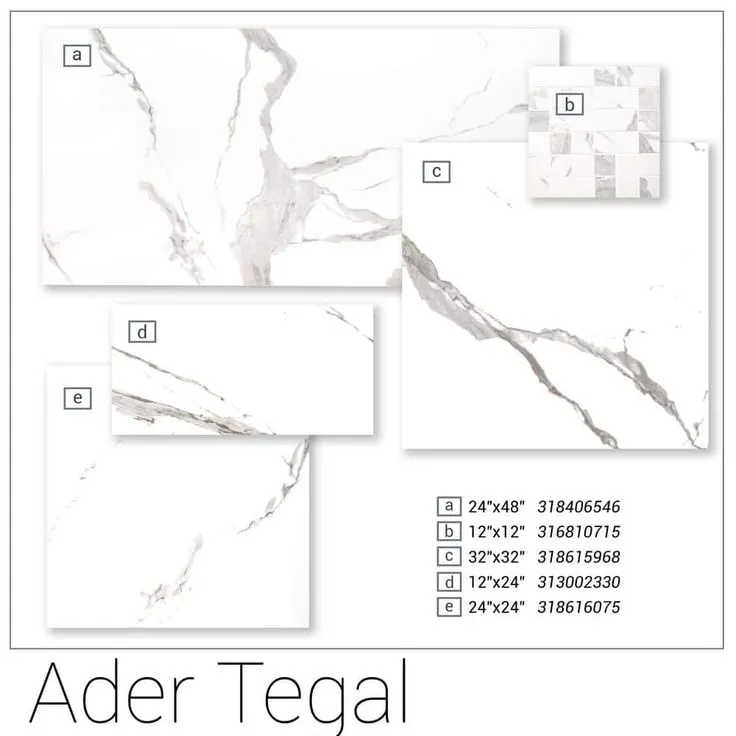 MSI Ader Tegal 24 in. x 48 in. Polished Porcelain Floor and Wall Tile (16 sq. ft./Case), photo 8 of 9
