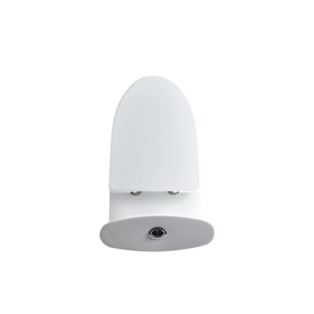 Dual Flush Ceramic 1-Piece 1.28/1.6 GPF Elongated Toilet with Seat and 12-In Rough-In, photo 4 of 6