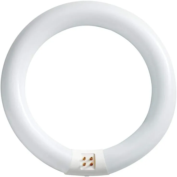 Philips 22-Watt 8 in. Linear T9 Fluorescent Tube Light Bulb Daylight Deluxe (6500K) Circline, photo 3 of 6
