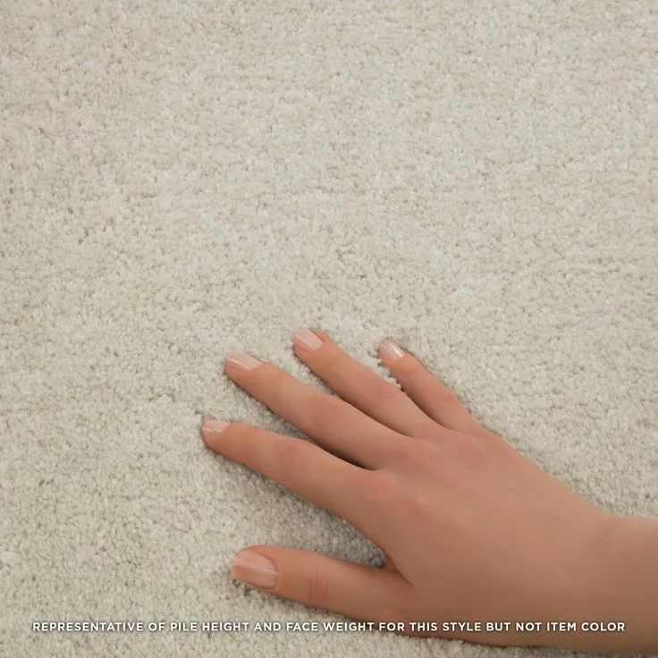 STAINMASTER Essentials Blue Diamonds III 15-ft Greige Textured Carpet (Indoor), photo 7 of 8