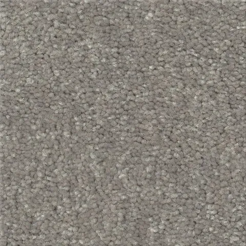Taupe Stone
