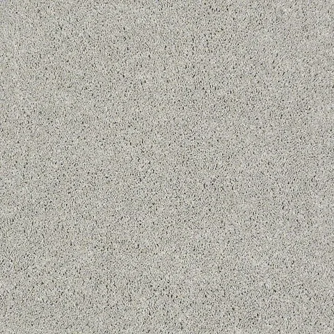 Gizmo