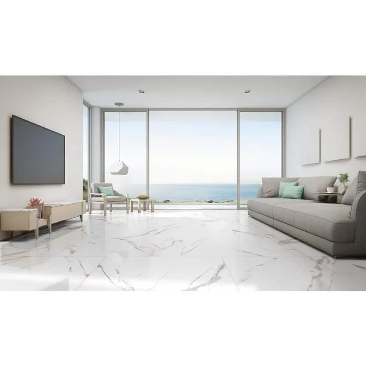 MSI Ader Tegal 24 in. x 48 in. Polished Porcelain Floor and Wall Tile (16 sq. ft./Case), photo 4 of 9
