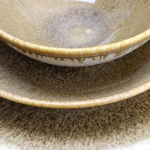 Elite 12-Piece Rustic Ombr Chestnut Earthenware Dinnerware Set