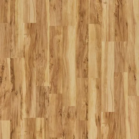 Ellwood Maple