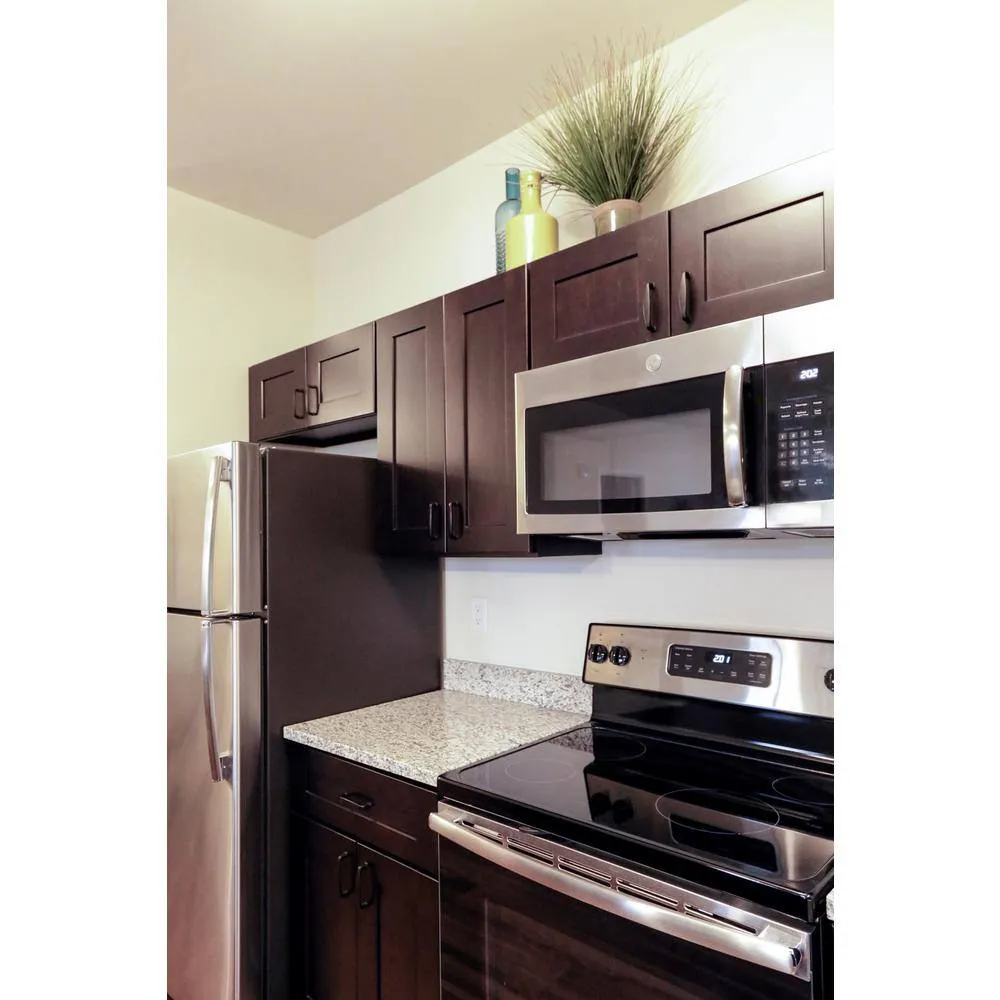 Design House Brookings Solid Wood Ready to Assemble Shaker 24 in. x 36 in. x 12 in. 2 Door Wall Kitchen Cabinet in Espresso, photo 7 of 15