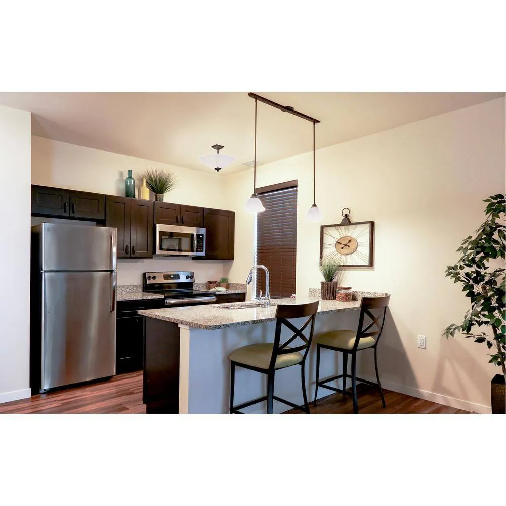 Design House Brookings Solid Wood Ready to Assemble Shaker 24 in. x 36 in. x 12 in. 2 Door Wall Kitchen Cabinet in Espresso, photo 2 of 15